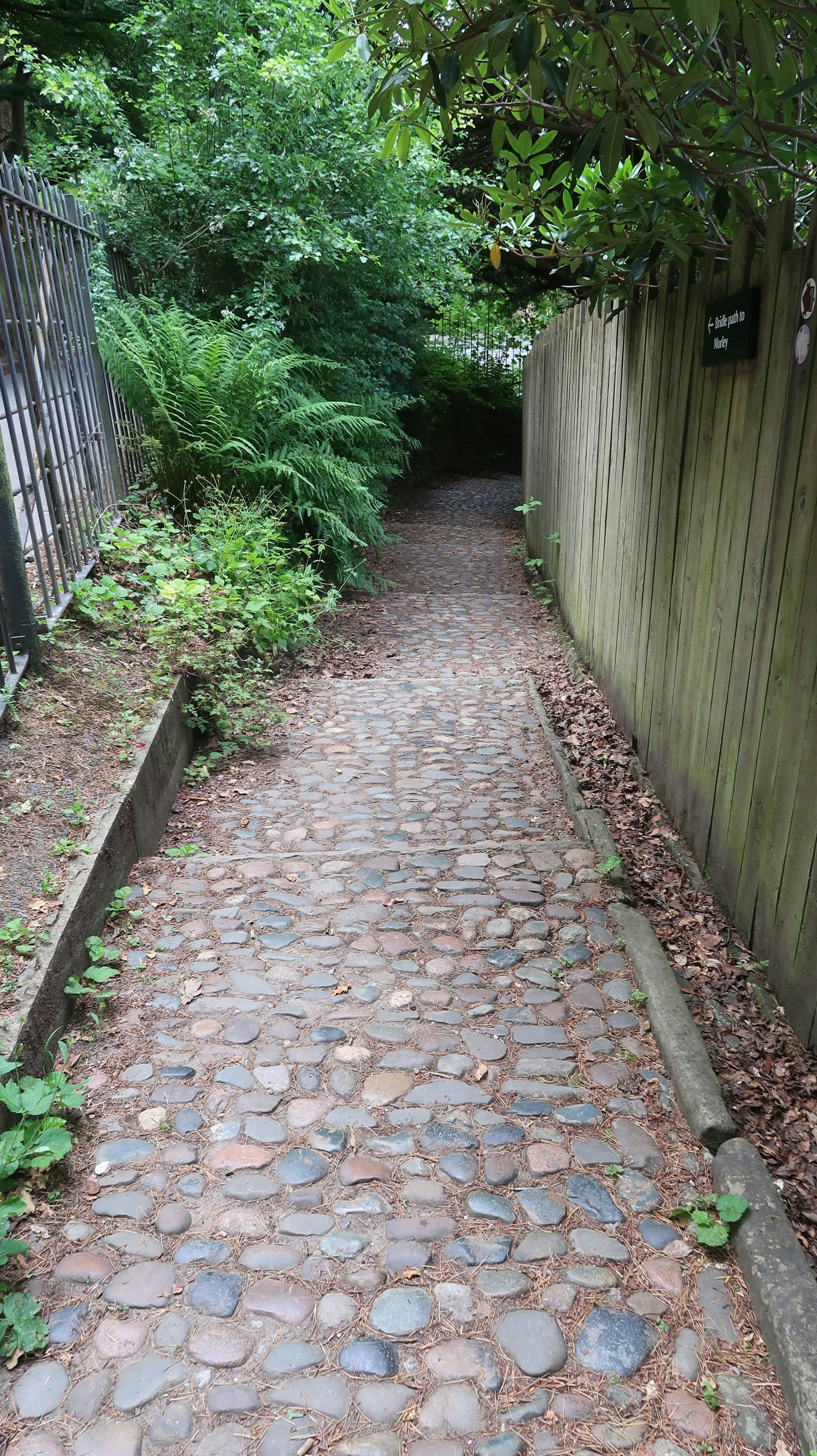 Sample walkway and garden image used as a temporary gallery placeholder.